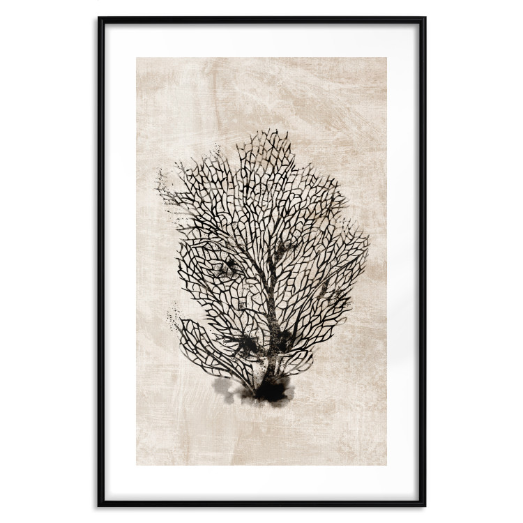 Poster Sea Fan - dark plant composition on a beige textured background 134511 additionalImage 17