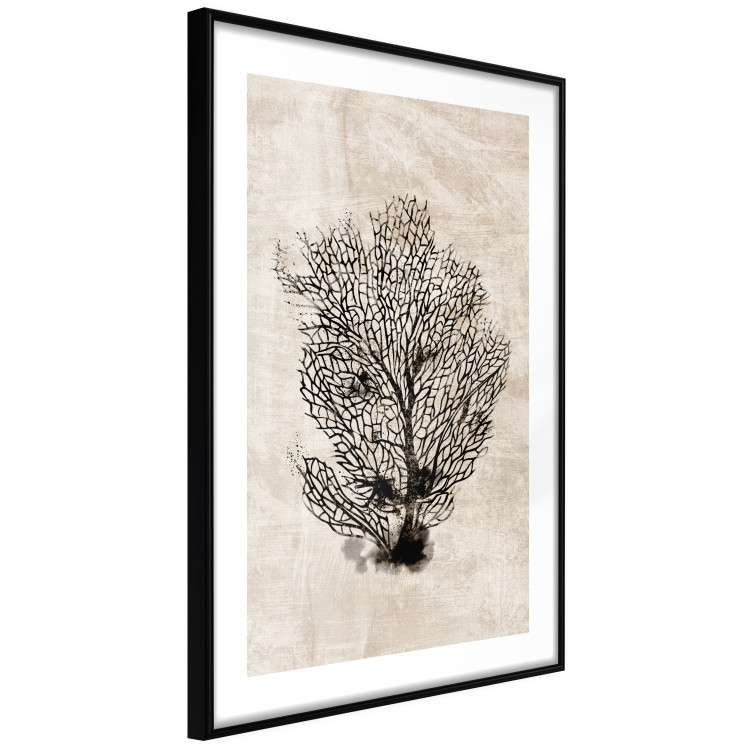 Poster Sea Fan - dark plant composition on a beige textured background 134511 additionalImage 8