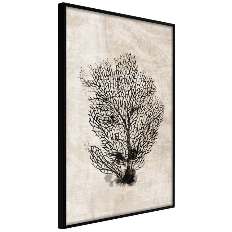 Poster Sea Fan - dark plant composition on a beige textured background 134511 additionalImage 11