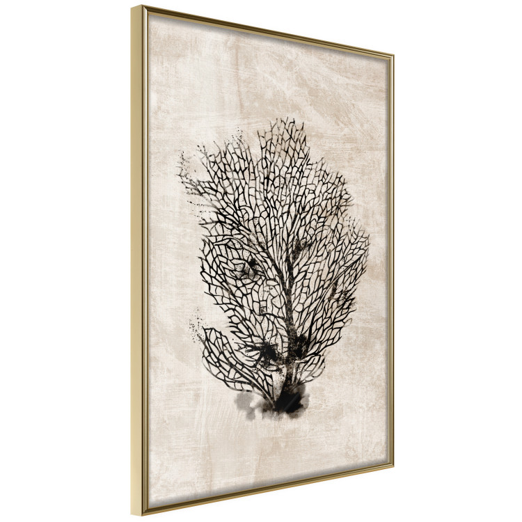 Poster Sea Fan - dark plant composition on a beige textured background 134511 additionalImage 12