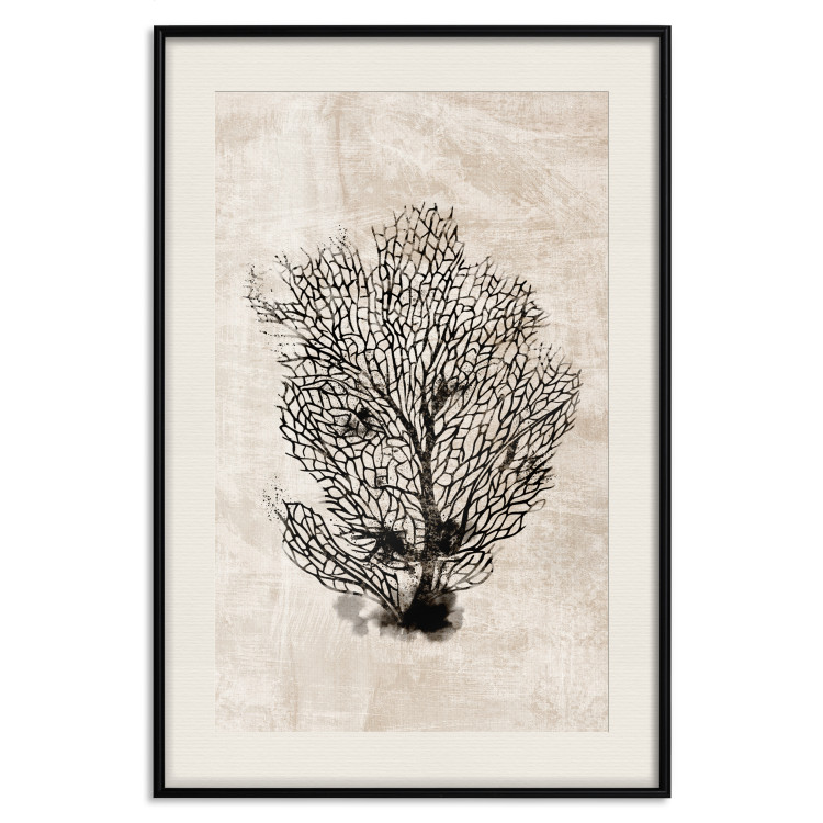 Poster Sea Fan - dark plant composition on a beige textured background 134511 additionalImage 19