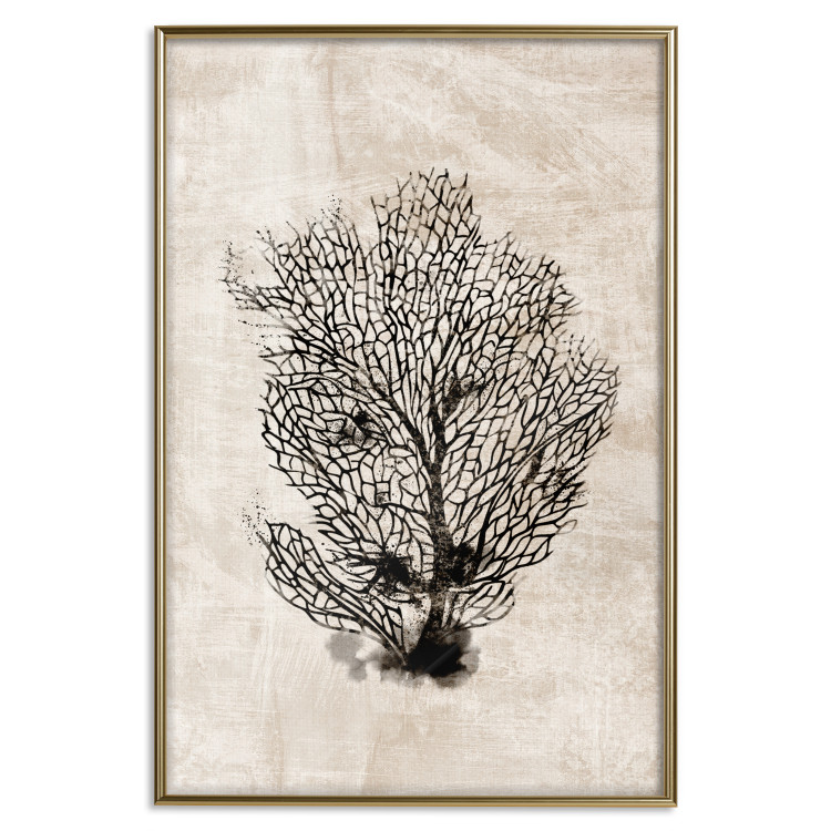 Poster Sea Fan - dark plant composition on a beige textured background 134511 additionalImage 21