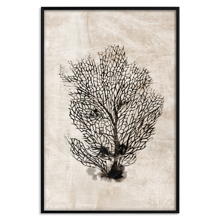 Poster Sea Fan - dark plant composition on a beige textured background 134511 additionalImage 16