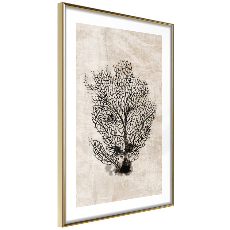 Poster Sea Fan - dark plant composition on a beige textured background 134511 additionalImage 7