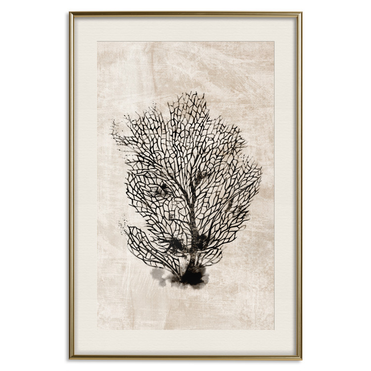 Poster Sea Fan - dark plant composition on a beige textured background 134511 additionalImage 20