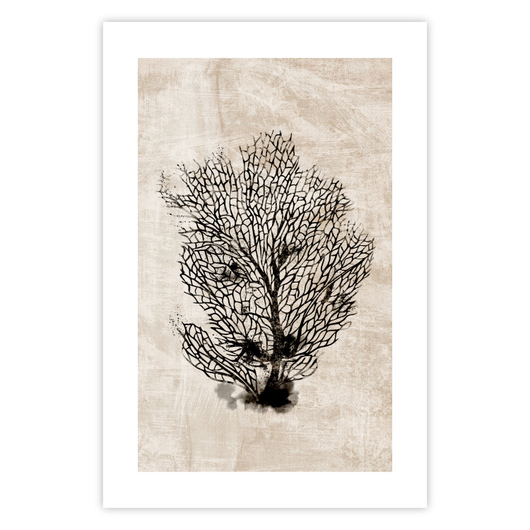 Poster Sea Fan - dark plant composition on a beige textured background 134511 additionalImage 25