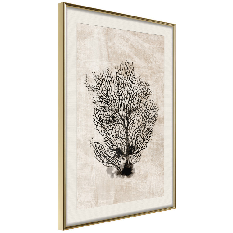 Poster Sea Fan - dark plant composition on a beige textured background 134511 additionalImage 3