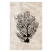 Poster Sea Fan - dark plant composition on a beige textured background 134511