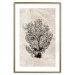 Poster Sea Fan - dark plant composition on a beige textured background 134511 additionalThumb 14
