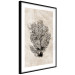 Poster Sea Fan - dark plant composition on a beige textured background 134511 additionalThumb 8