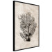 Poster Sea Fan - dark plant composition on a beige textured background 134511 additionalThumb 11