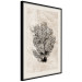 Poster Sea Fan - dark plant composition on a beige textured background 134511 additionalThumb 2