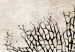 Poster Sea Fan - dark plant composition on a beige textured background 134511 additionalThumb 9