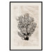 Poster Sea Fan - dark plant composition on a beige textured background 134511 additionalThumb 19