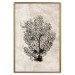 Poster Sea Fan - dark plant composition on a beige textured background 134511 additionalThumb 21