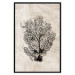Poster Sea Fan - dark plant composition on a beige textured background 134511 additionalThumb 16