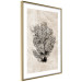 Poster Sea Fan - dark plant composition on a beige textured background 134511 additionalThumb 7