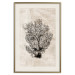 Poster Sea Fan - dark plant composition on a beige textured background 134511 additionalThumb 20
