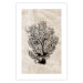 Poster Sea Fan - dark plant composition on a beige textured background 134511 additionalThumb 25