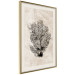 Poster Sea Fan - dark plant composition on a beige textured background 134511 additionalThumb 3