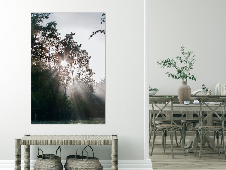Canvas Art Print Sun get through the trees - photo of a forest landscape 137211 additionalImage 3