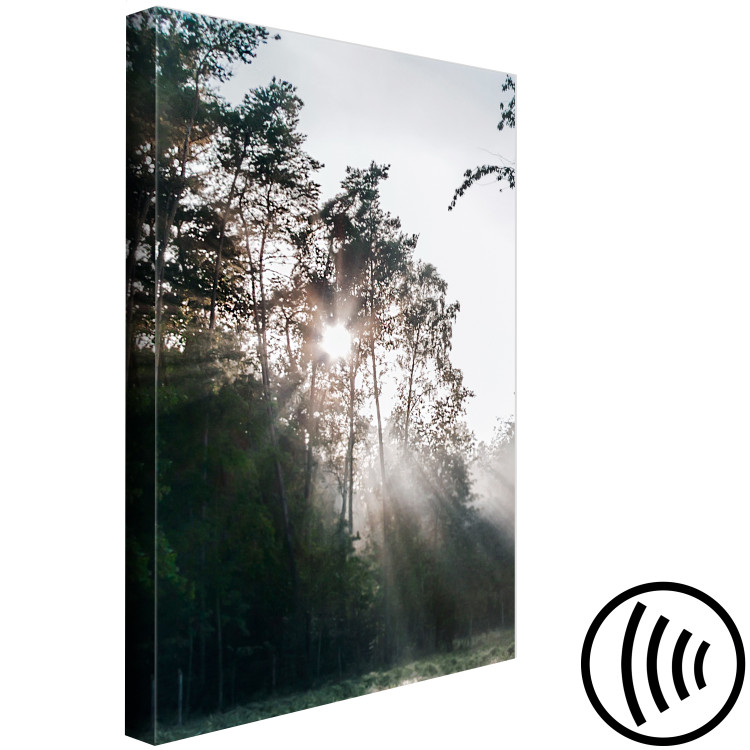 Canvas Art Print Sun get through the trees - photo of a forest landscape 137211 additionalImage 6