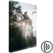 Canvas Art Print Sun get through the trees - photo of a forest landscape 137211 additionalThumb 6