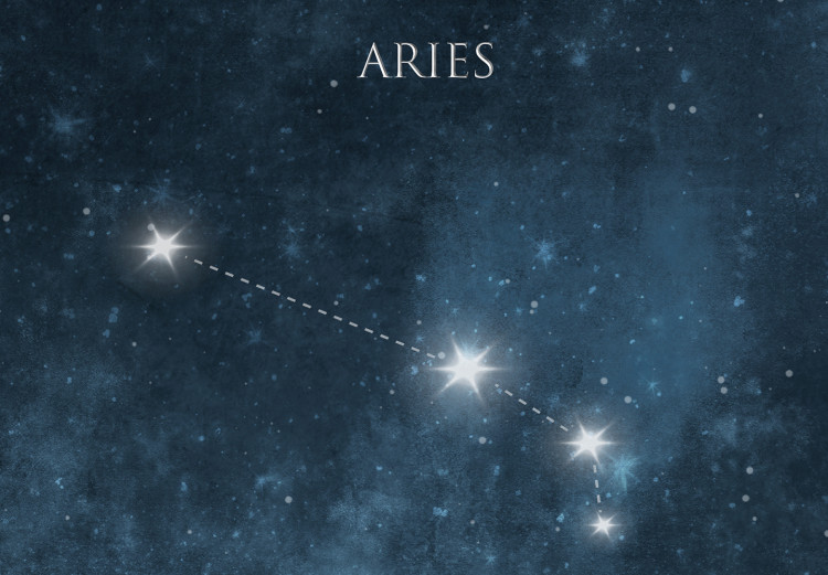 Canvas Zodiac Space (1-piece) - star constellations in a dark landscape 145311 additionalImage 5