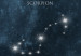Canvas Zodiac Space (1-piece) - star constellations in a dark landscape 145311 additionalThumb 4