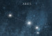 Canvas Zodiac Space (1-piece) - star constellations in a dark landscape 145311 additionalThumb 5