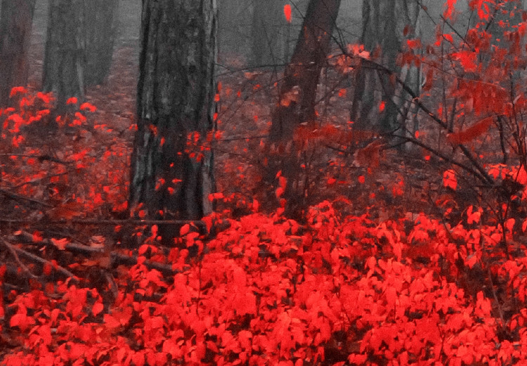 Large canvas print Crimson Forest [Large Format] 150711 additionalImage 4