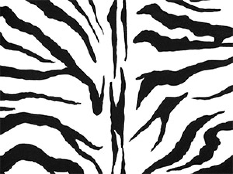 Canvas Zebra pattern 49311 additionalImage 2
