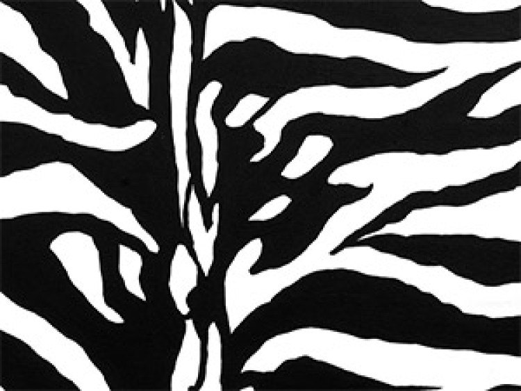 Canvas Zebra pattern 49311 additionalImage 3