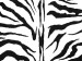 Canvas Zebra pattern 49311 additionalThumb 2
