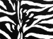 Canvas Zebra pattern 49311 additionalThumb 3