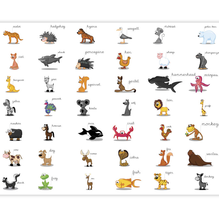 Photo Wallpaper Learning Animals in English - Various colorful animals for children 61211 additionalImage 5