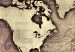 Decorative Pinboard Precious World [Cork Map] 92211 additionalThumb 6