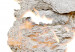Cork Pinboard Concrete Continents [Cork Map] 93811 additionalThumb 5