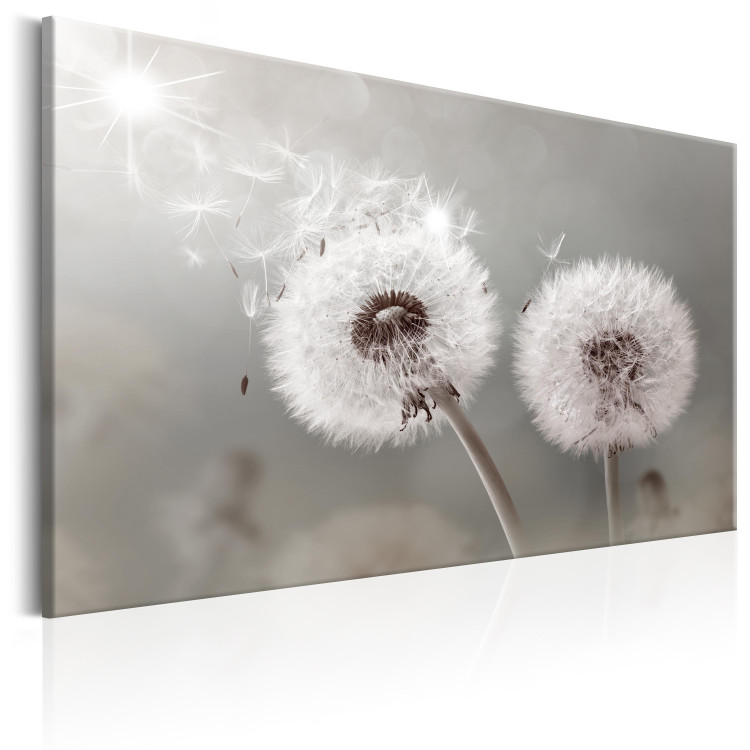 Canvas Towards the Sun - Dandelions in the Glow of Sunbeams and Wind 98211 additionalImage 2