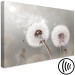 Canvas Towards the Sun - Dandelions in the Glow of Sunbeams and Wind 98211 additionalThumb 6