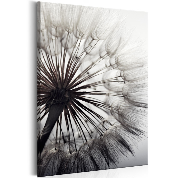 Canvas Print Portrait of a dandelion - close-up of a plant on a gray background 106821 additionalImage 2