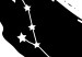Canvas Print Zodiac Sign Taurus (1-Piece) - Black and White Graphic Design 114821 additionalThumb 5