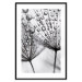Poster Morning Dew - black and white composition in a dandelion with water drops 116521 additionalThumb 15