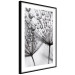 Poster Morning Dew - black and white composition in a dandelion with water drops 116521 additionalThumb 11