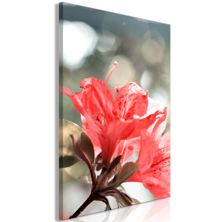 Canvas Print Hibiscus red - a minimalist photo of a twig and flowers 121621 additionalImage 2