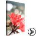 Canvas Print Hibiscus red - a minimalist photo of a twig and flowers 121621 additionalThumb 6