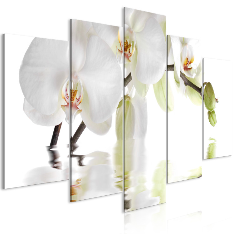 Canvas Blooming orchid - abstract theme with white flower on white background 123421 additionalImage 2