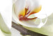 Canvas Blooming orchid - abstract theme with white flower on white background 123421 additionalThumb 5