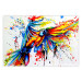 Poster Phenomenal Flight - abstract flying colorful parrot on a white background 127321