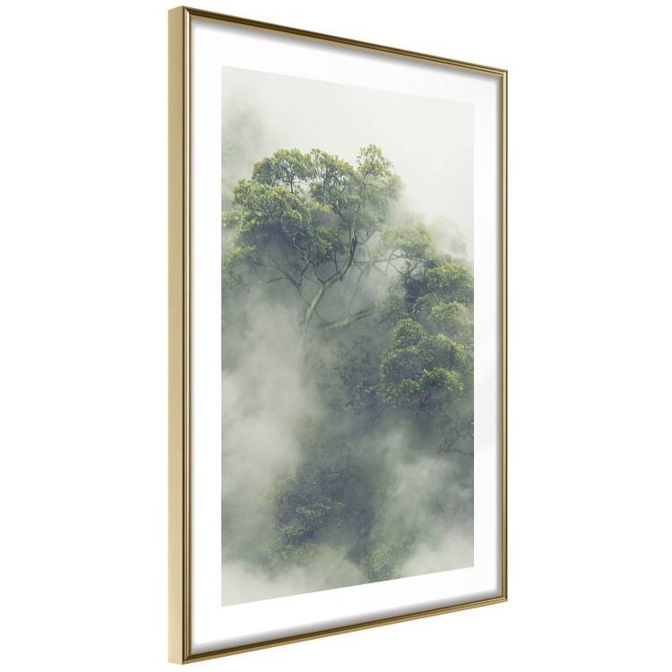 Wall Poster Misty Amazon - landscape of green tree crowns amidst dense fog 129421 additionalImage 7